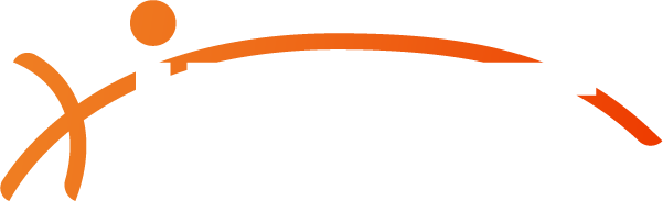 ine-logo